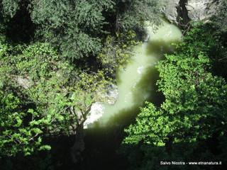 le della Cantera-26-04-2014 16-52-07